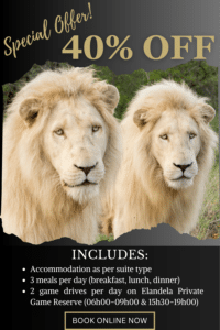 luxury safari lodge special offer
